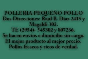 Polleria Pequeño Pollo