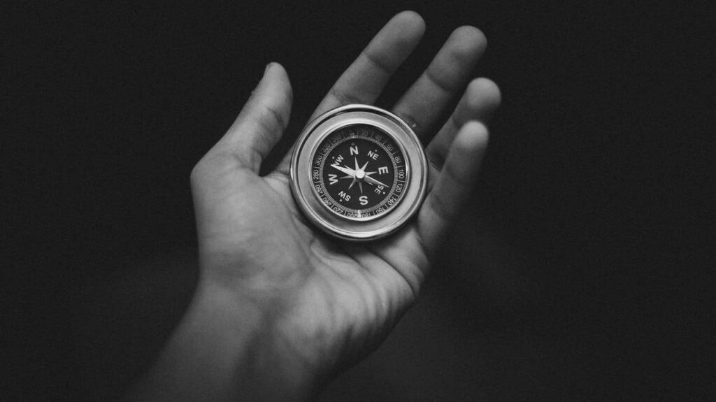 pexels-bakr-magrabi-3203659