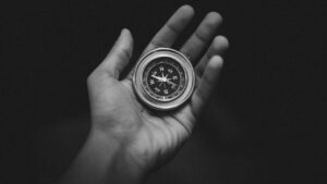 pexels-bakr-magrabi-3203659