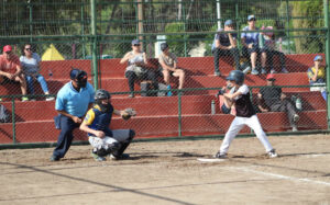 Softbol