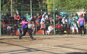 Softbol