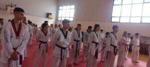 Taekwondo