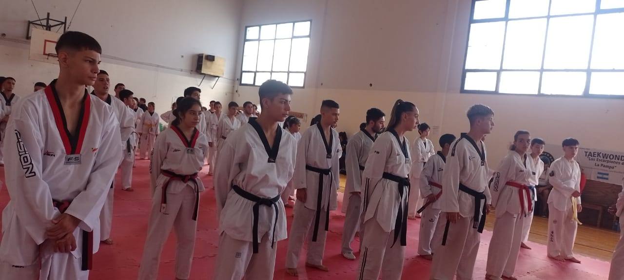 Taekwondo