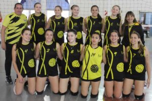 Voley
