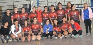 Voley