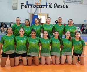Cesto