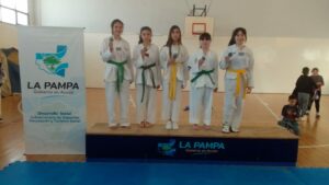 Taekwondo