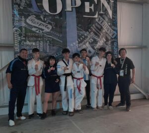 Taekwondo