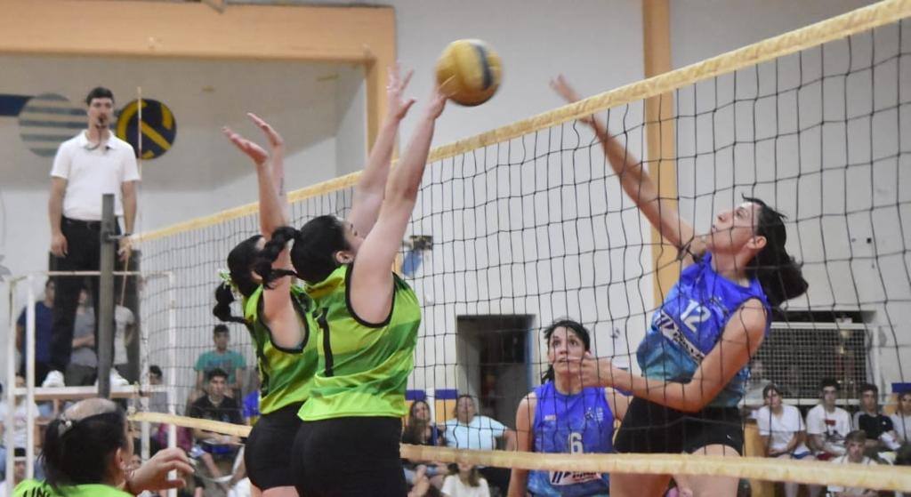 Voley