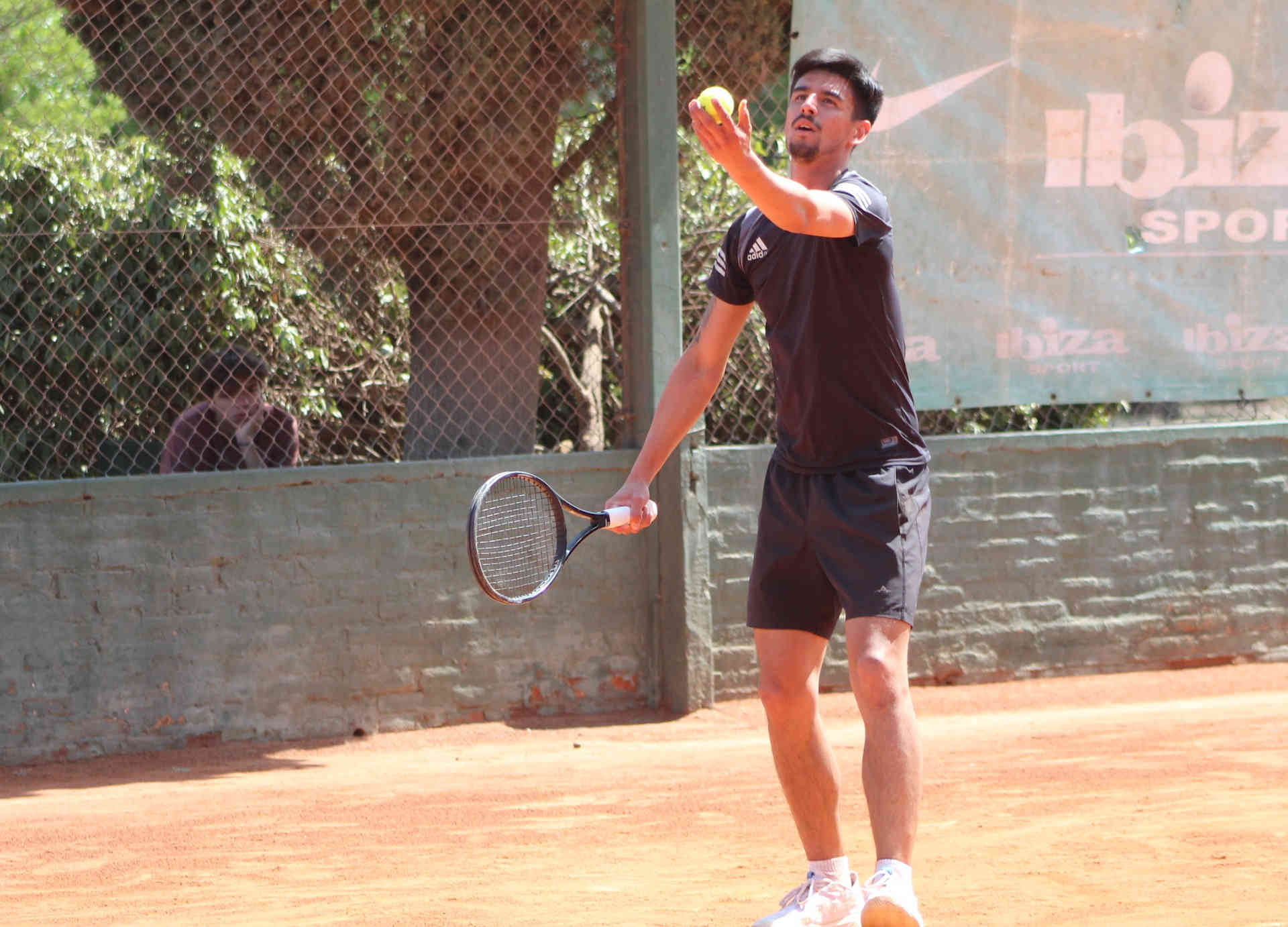 Tenis