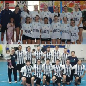 Cesto