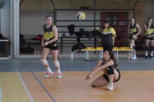 Voley
