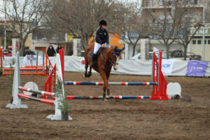 Equitacion