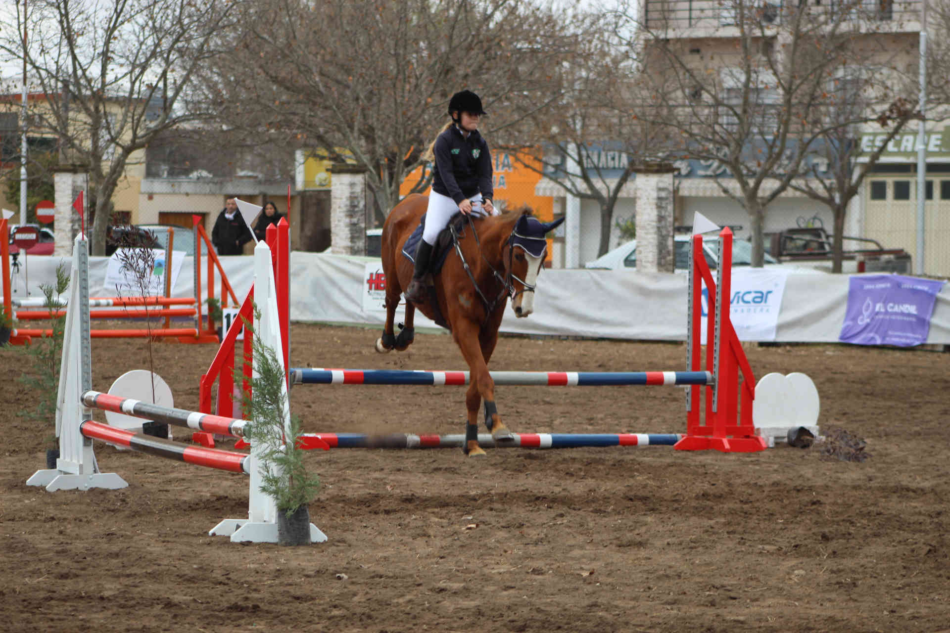 Equitacion