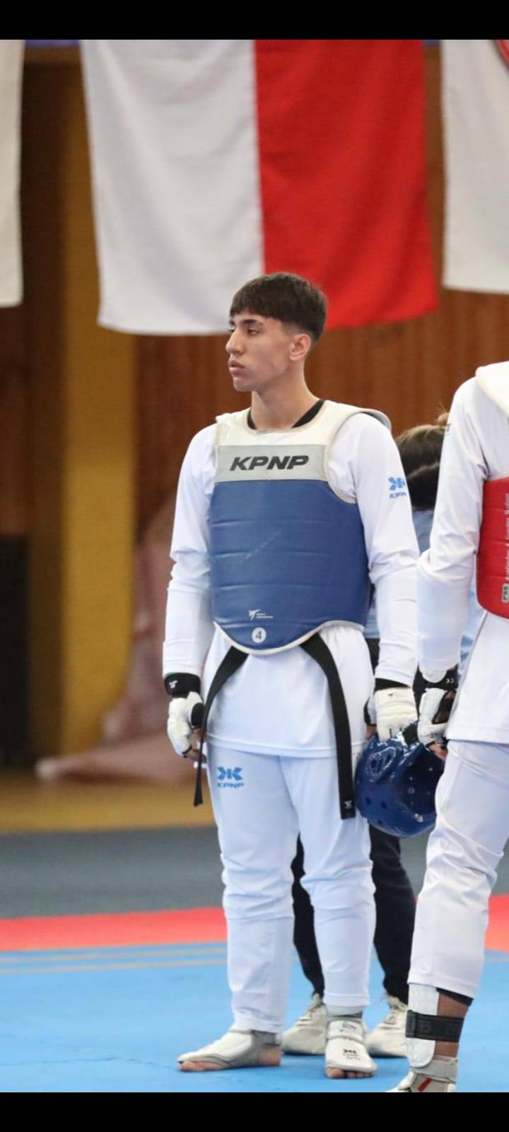 Taekwondo