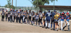 Softbol
