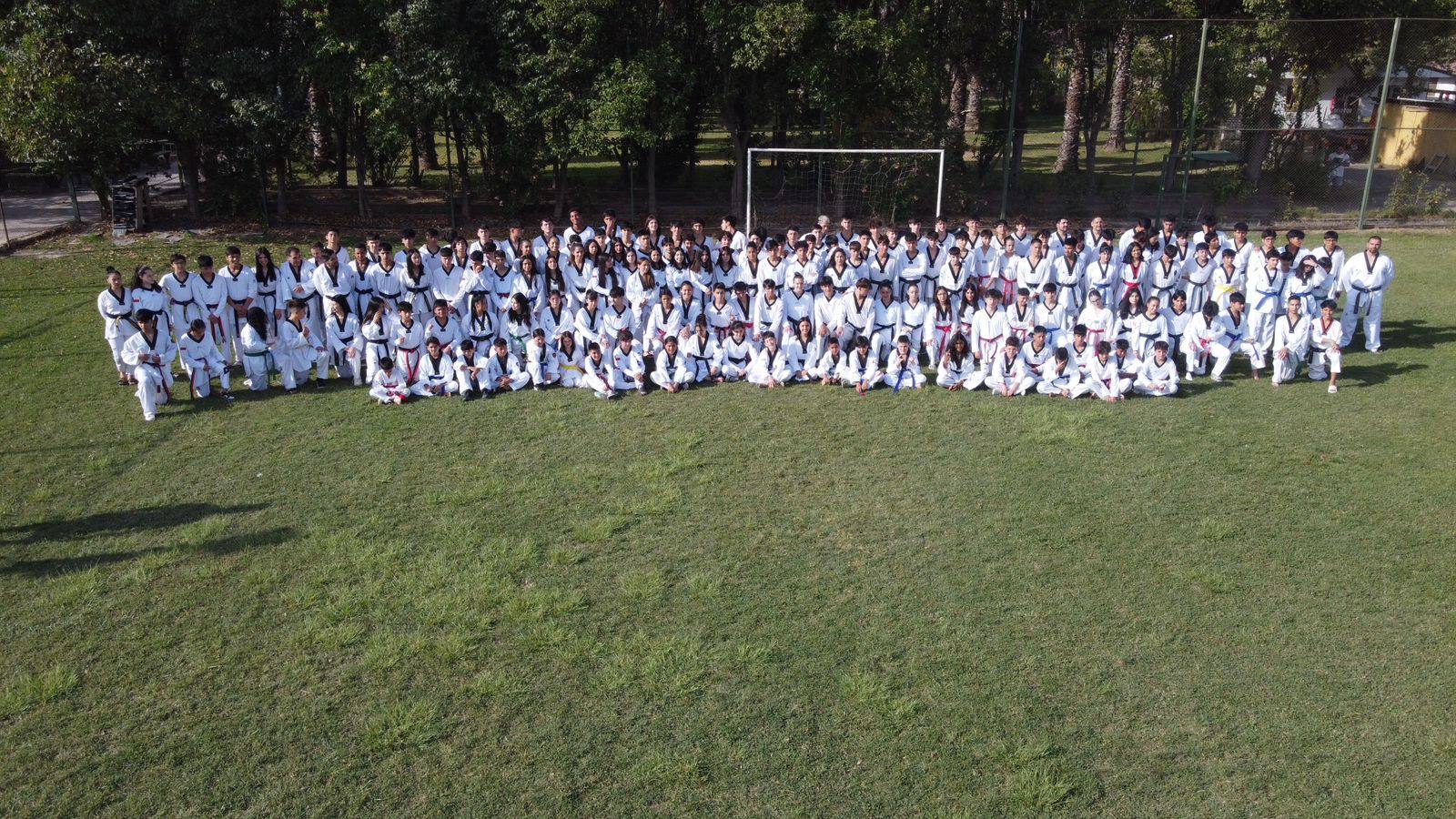 Taekwondo