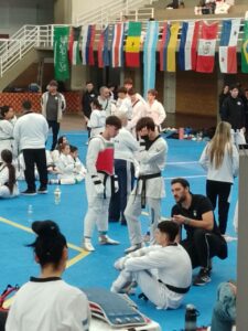 Taekwondo