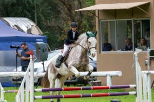 Equitacion