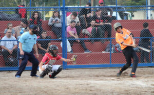 Softbol