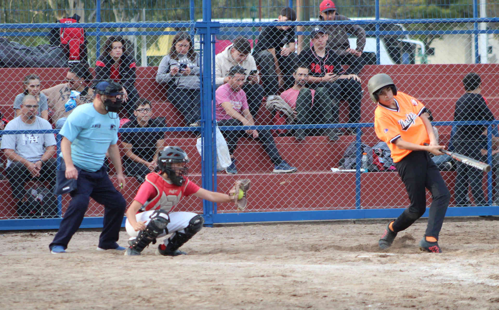 Softbol