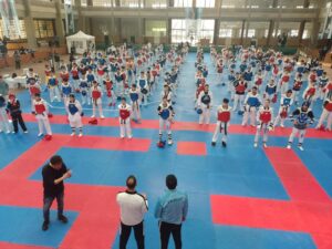 Taekwondo