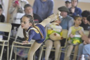 Patin Artistico