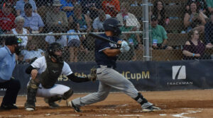 Softbol