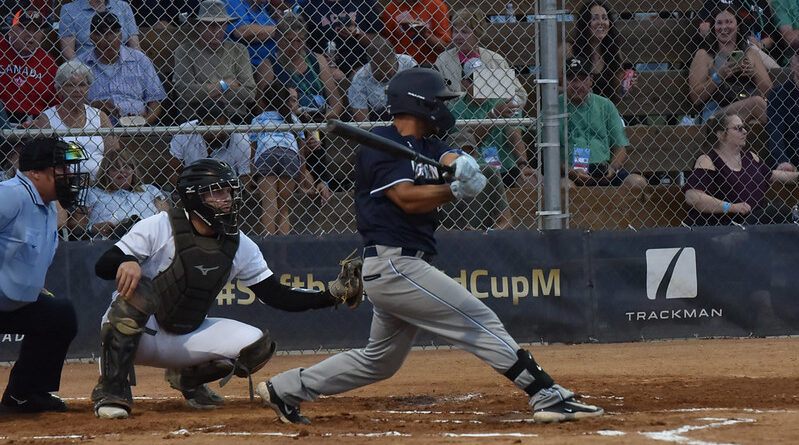 Softbol
