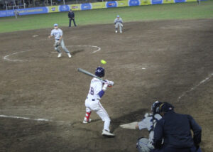 Softbol