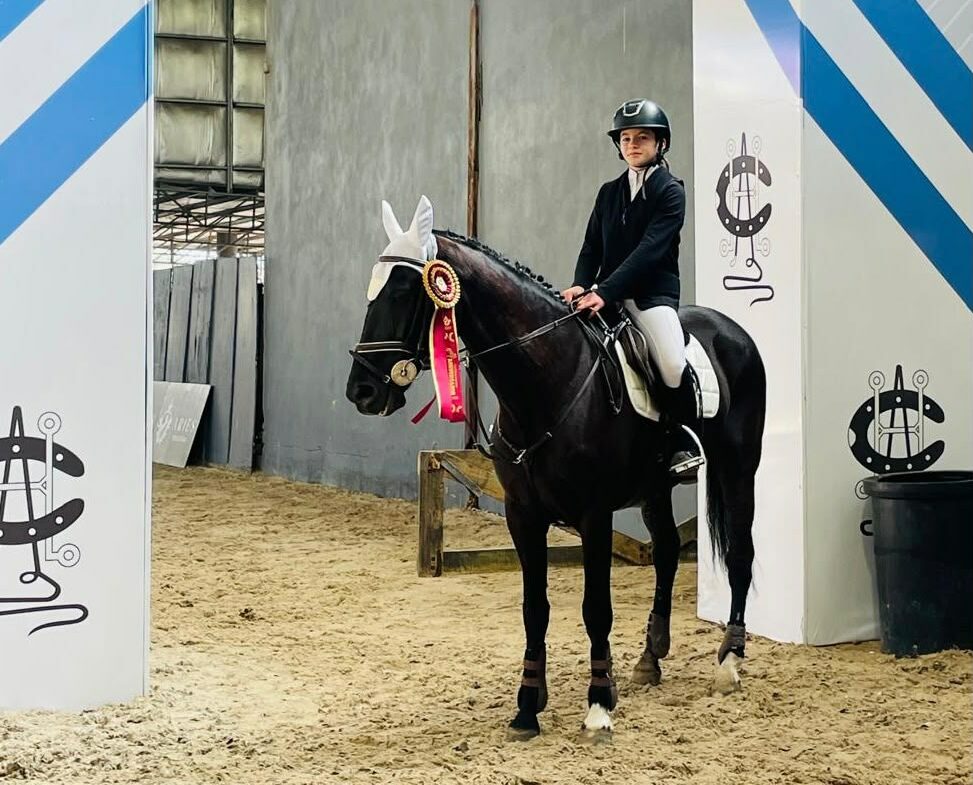 Equitacion