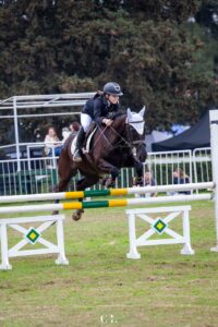 Equitacion