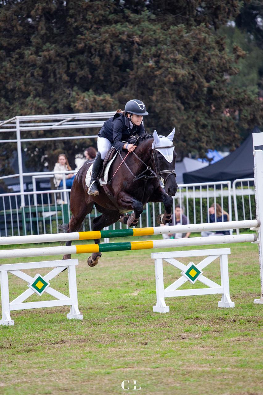 Equitacion