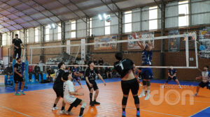 Voley