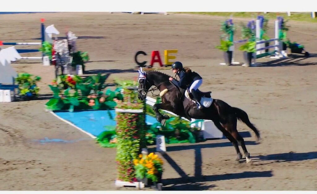 Equitacion