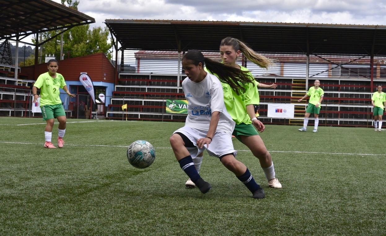 Araucania