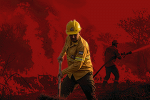 INCENDIOS_FORESTALES_300x200